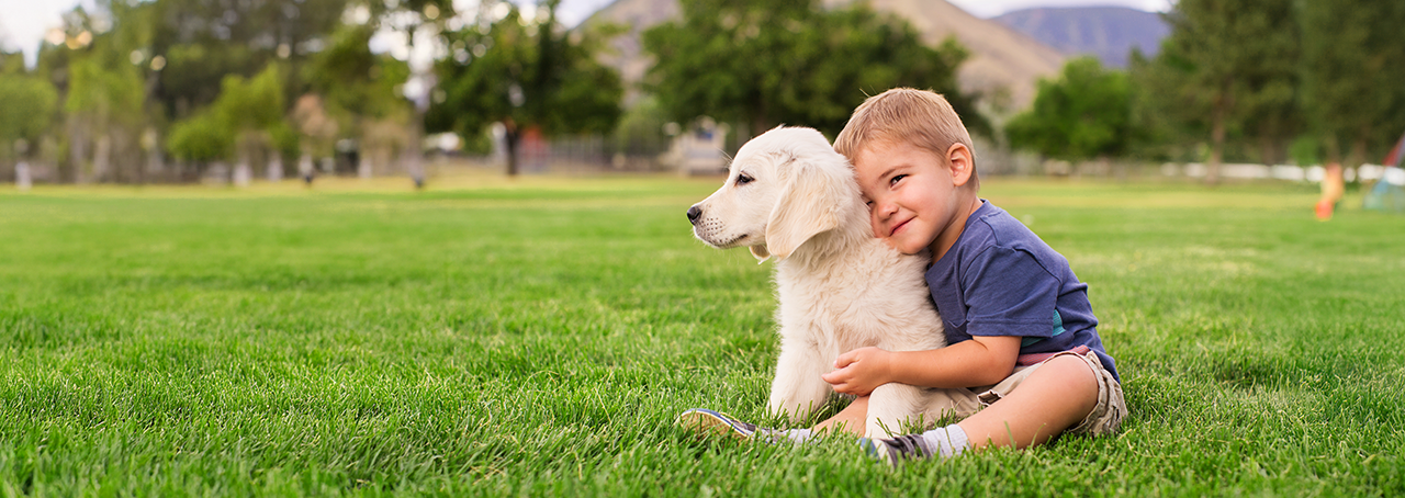 触れるためのふわふわな人工芝フラフィーターフプラス