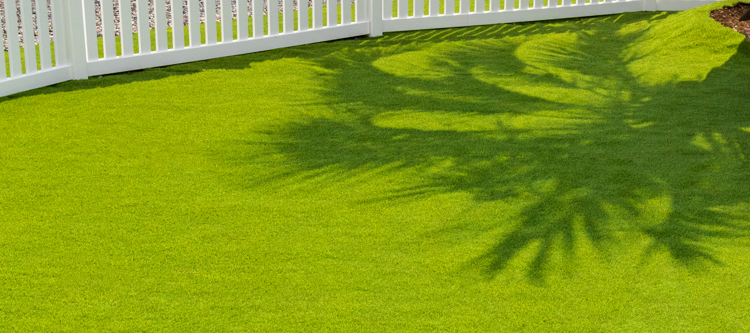 人工芝フラフィーターフ 背景写真